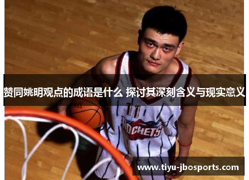 赞同姚明观点的成语是什么 探讨其深刻含义与现实意义